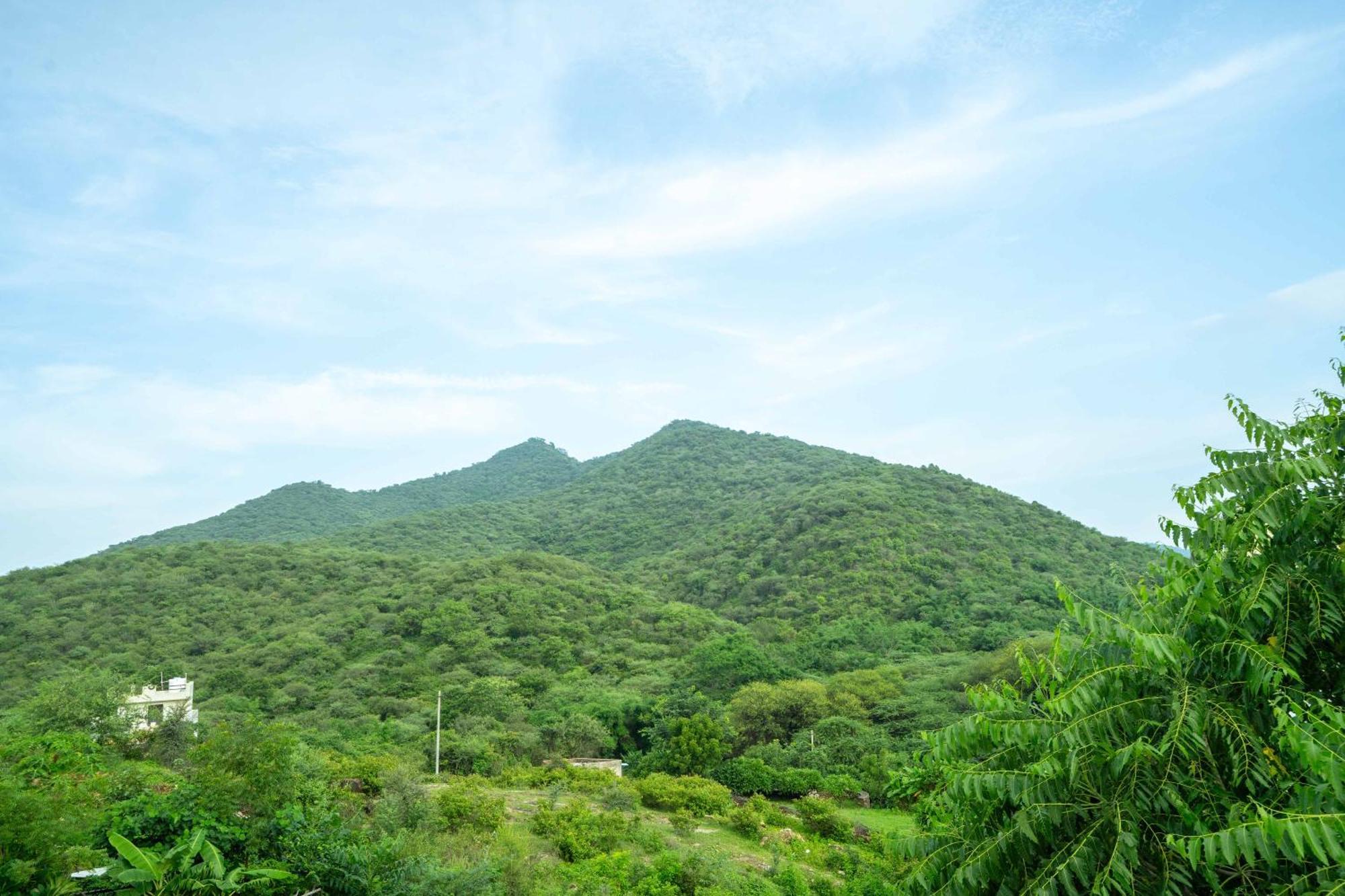 Treebo The Aravali Getaway Hotel Udaipur Eksteriør billede
